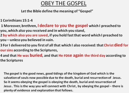 obey the gospel y