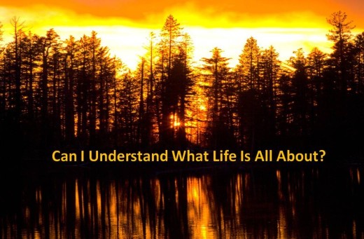Find out what life is all about