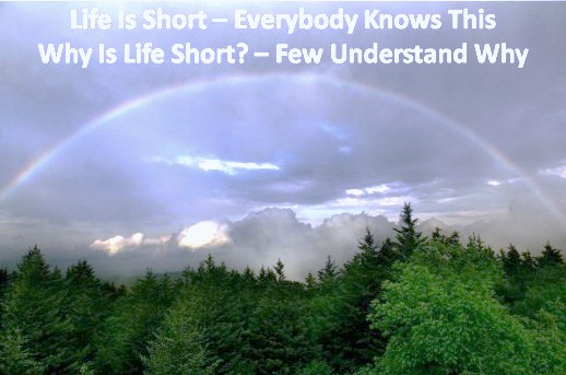 Life short rainbow